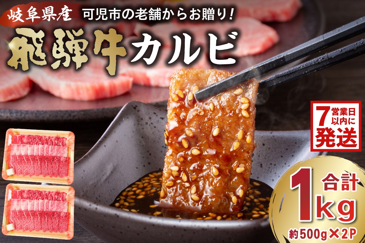 
                  飛騨牛カルビ1kg（500g×2） 【 焼肉 肉 牛肉 カルビ 焼肉用 合計1kg 1キロ まとめ買い おうち焼肉 BBQ バーベキュー 肉 花見 和牛 国産牛 黒毛和牛 】
                