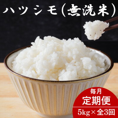 【ふるさと納税】【毎月定期便】岐阜県産ハツシモ(無洗米) 5kg全3回【配送不可地域：離島】【4076367】