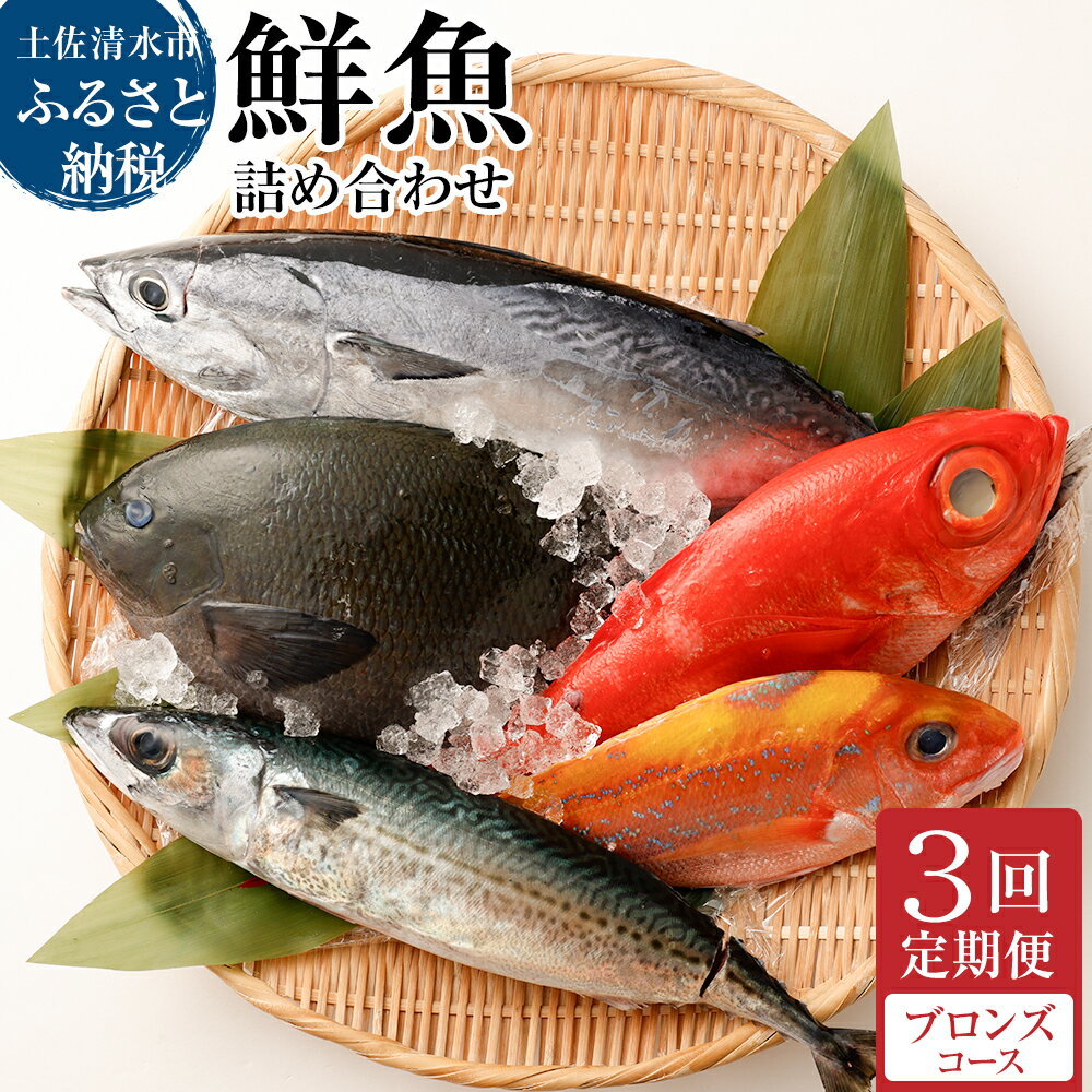 【ふるさと納税】＜3回定期便＞ 季節の鮮魚 おまかせお楽しみセット（ブロンズコース）鮮魚ボックス 天然魚 食べ比べ 魚介類 海鮮料理 魚 鮮魚 新鮮 刺し身 お刺身 煮付け ふるさと納税 お楽しみ 定期便 3ヶ月 ふるさとのうぜい 故郷納税 高知 土佐清水市 【J00023】