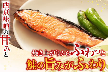 天然秋鮭西京漬け3切真空×8P(計24切) A-14257