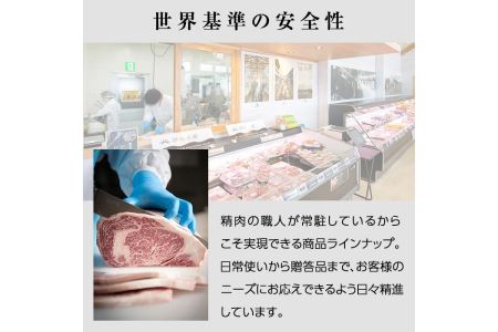 isa172 《毎月数量限定》＜生冷凍＞国産牛・甘熟豚南国スイート合挽きハンバーグ(14個・1個あたり100g) 【お肉の直売所 伊佐店】