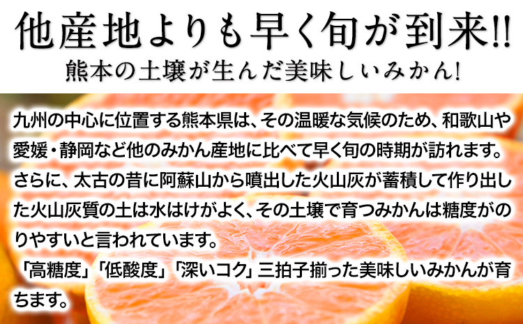 みかん ご家庭用 熊本 大粒みかん 約2.5kg (3L〜5Lサイズ)大玉 先行予約 熊本 訳あり 傷 たっぷり 熊本県産 期間限定 フルーツ 旬 柑橘 長洲町 大粒みかん《2026年1月中旬-2月末
