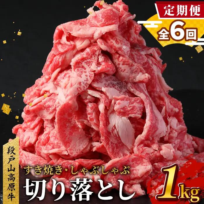 【全6回 定期便】 段戸山高原牛 切り落とし 1kg (200g×5）定期便 牛肉 肉 国産牛 焼肉 すき焼き しゃぶしゃぶ 不揃い 冷凍 愛知県 設楽町 国産 牛肉 牛 スライス 小分け 大満足 赤身 数量限定 牛肉切り落とし 牛切り落とし sukiyaki niku 蓬莱泉 牛丼 牛 定期便 幻の牛 ブランド牛 -231