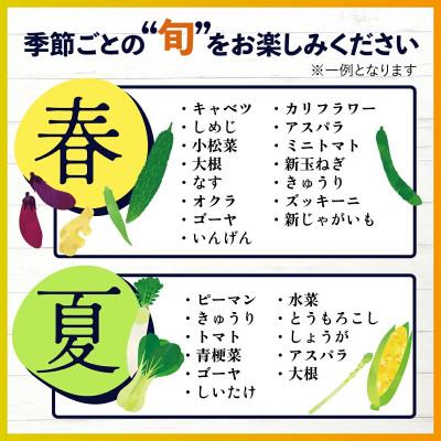 ふるさと納税 鹿島市 【毎月定期便】旬のおまかせ野菜BOX 詰め合わせ 8〜10品目全6回 |  | 02