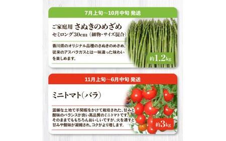 「香川県オリジナル品種さぬきのめざめ」と旬の野菜 定期便P