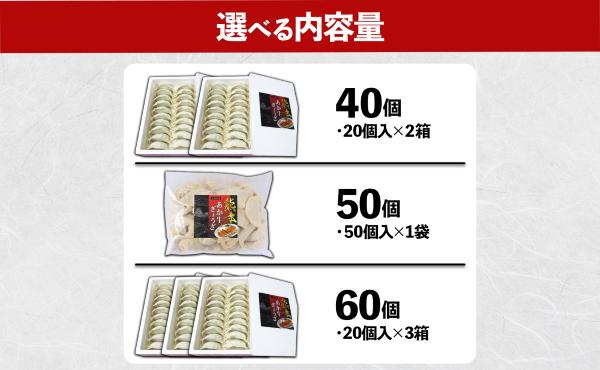熊本和牛あか牛ぎょうざ 50個（袋）ぎょうざ ギョーザ 選べる内容量 惣菜 冷凍餃子 大容量 冷凍 熊本県 水上村