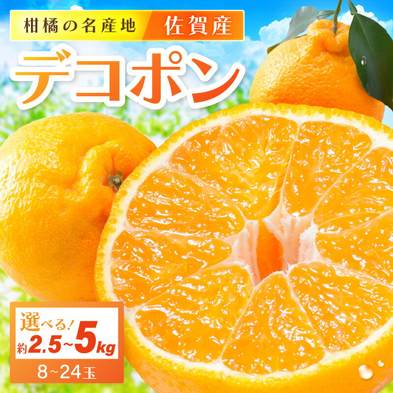 【ふるさと納税】佐賀産 デコポン＜内容量が選べる／約2.5kg (8-11玉)・約5kg(15-24玉) ＞ (伊万里市) 柑橘類 【 果物 フルーツ 不知火 かんきつ みかん 蜜柑 オレンジ ふるさと納税 フルーツ 】