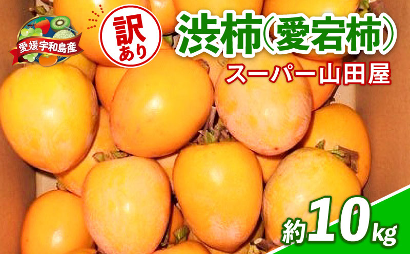 訳あり 渋柿 愛宕柿 約 10kg スーパー山田屋 先行予約 不揃い kaki かき あたごがき カキ フルーツ 果物 くだもの 訳アリ 訳有り わけあり ご家庭用 規格外 秋の味覚 新鮮 旬 産地直