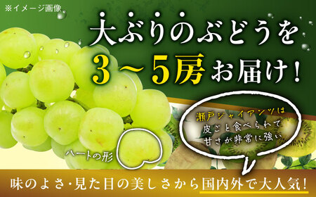【先行予約】【9月上旬より順次発送】パリッとした食感。ジュワッと溢れる幸せ。瀬戸ジャイアンツ2kg（3から5房） 愛媛県大洲市/沢井青果有限会社 [AGBN005]ぶどうフルーツぶどうフルーツぶどうフ