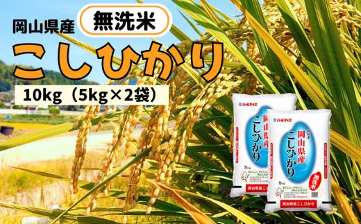 【令和7年産】無洗米 こしひかり 10kg 5kg×2袋 岡山県産 【先行予約 2025年10月上旬から順次発送】