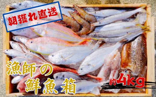 【ふるさと納税】漁師の鮮魚箱（約4kg）(A890-4)