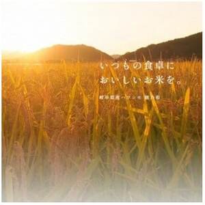 【発送月固定定期便】【先行予約】岐阜県産ハツシモ(無洗米)10kg【2・3月】全2回【配送不可地域：離島】【4073186】