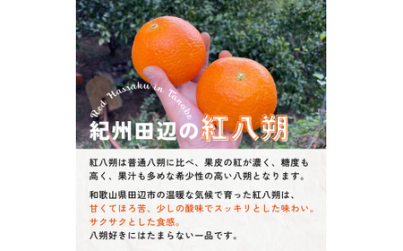 【期間限定・3/31まで】紅八朔4kg※1月下旬から順次発送予定※ / 和歌山県 はっさく フルーツ 果物 柑橘 田辺市 みかん 【nak012-1】