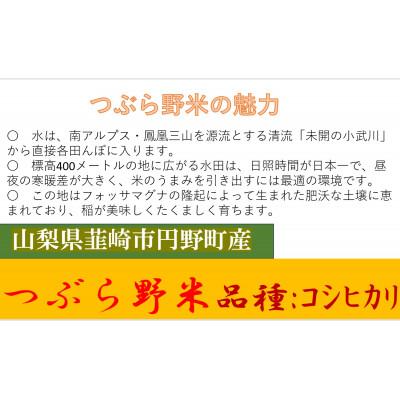 ふるさと納税 韮崎市 【毎月定期便】つぶら野米(品種:コシヒカリ) 白米6kg 定期6ヶ月(計36kg)全6回 |  | 01