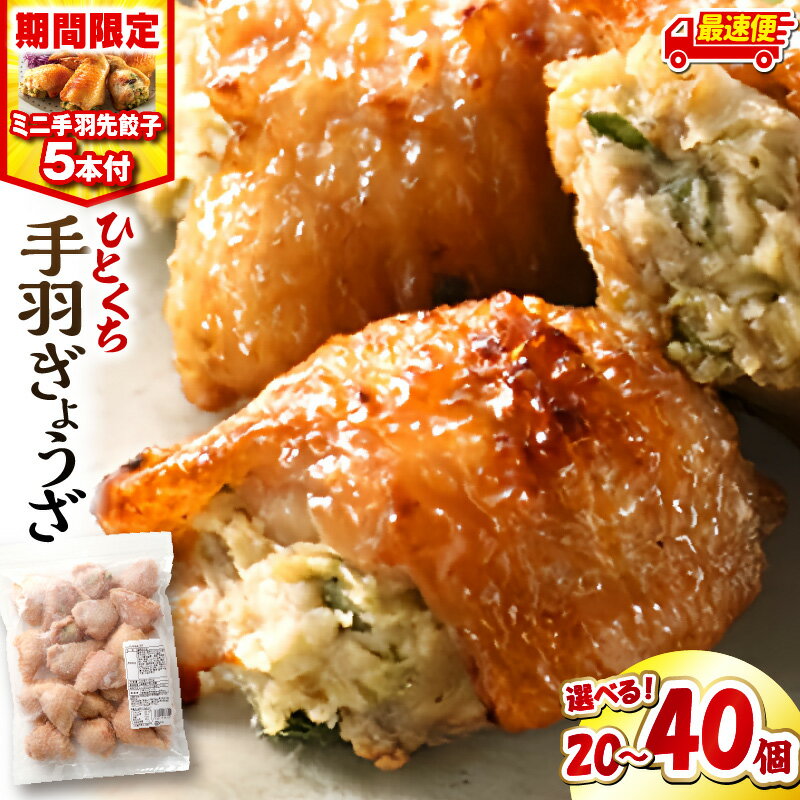 【ふるさと納税】【定期便・内容量・発送時期が選べる】【期間・数量限定】ひとくち 手羽 ぎょうざ 20個(1パック)or40個(2パック)・手羽先餃子(小サイズ5本)餃子 手羽 肉 お肉 手羽先 手羽餃子 宮崎餃子 おつまみ おかず おすすめ 惣菜 名物 宮崎市《レビューキャンペーン》