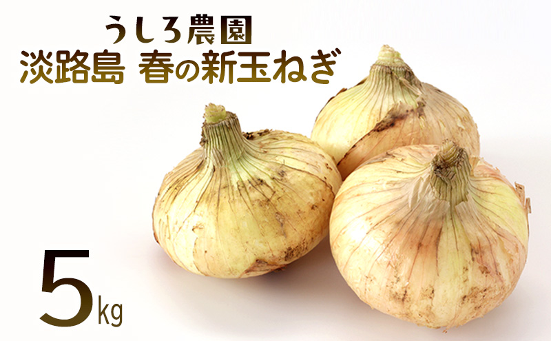 淡路島　春の新玉ねぎ　5kg　早生 新玉ねぎ 玉ねぎ たまねぎ 玉葱 オニオン 野菜 肉厚 ジューシー スライス ホイル焼き レンジ調理 バター醤油 旬 兵庫県 洲本市 淡路島
