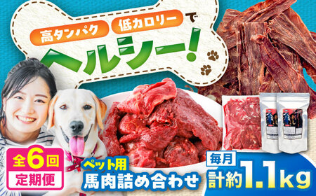 【全6回定期便】詰め合わせ 国内加工 ペット用 馬肉 切り落とし 約1kg ペット用 馬刺しジャーキー 約100g BHCY067