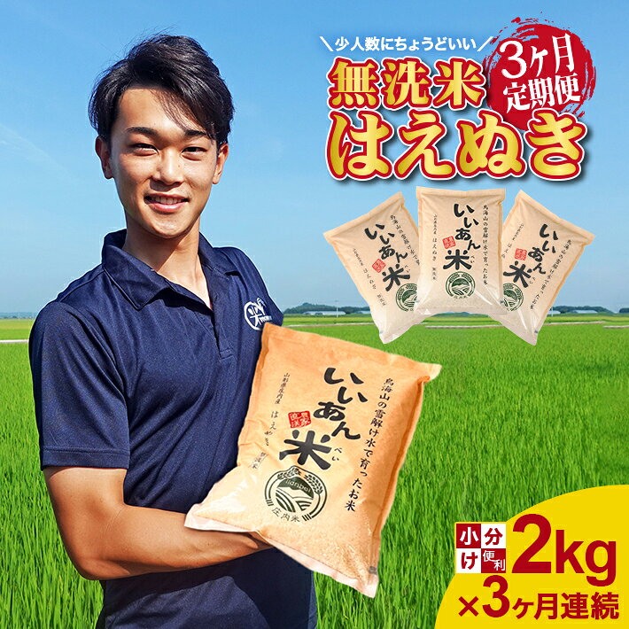 【ふるさと納税】≪3ヶ月定期便≫ 無洗米 はえぬき 2kg×3ヶ月連続 計6kg 山形県庄内産 ご希望期間の毎月中旬頃お届け 米 お米 精米 白米 ブランド米 庄内米 定期便 小分け 一人暮らし 少人数 東北 山形県 酒田市 庄内地方 庄内平野