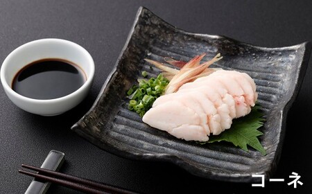 馬刺し 5種盛セット 約50g×5 （計約250g） （特赤身 ・ 赤身 ・ 中トロ ・ コーネ ・ ユッケ） タレ付き 5種類 馬刺 肉刺し 馬肉 お肉 肉 トロ たてがみ ヘルシー セット 九州 