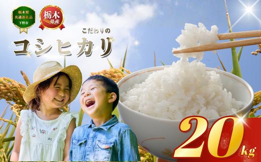 コシヒカリ こしひかり 約20kg 米 お米 こめ コメ | もちもち 白米 ごはん ご飯 おすすめ 小分け 人気 おいしい おにぎり おむすび お弁当 限定 栃木県共通返礼品 栃木県 下野市 送料無料