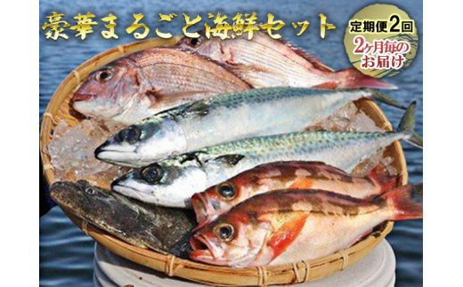 
豪華まるごと海鮮セット定期便2回お届け
