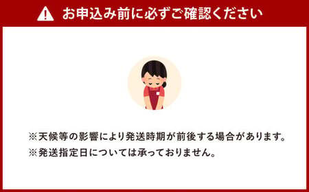 福岡県北九州市若松産【優等品】若松クイーン スイカ 10kg以上(2kg以上3玉入り～4玉入り)【2025年7月下旬～8月上旬発送予定】