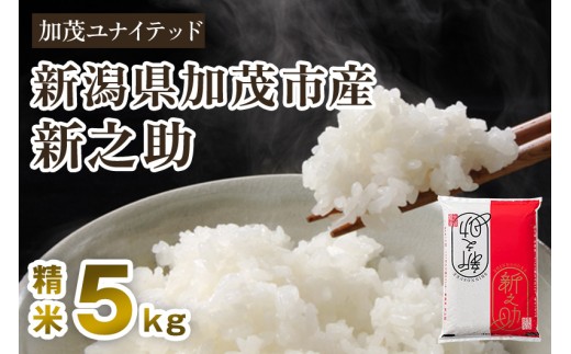 【寄附額見直し】【令和7年産】新潟県産 新之助 精米 5kg（5kg×1袋）《順次出荷》  東京・南青山の料亭で使用される極上米 加茂市 加茂ユナイテッド