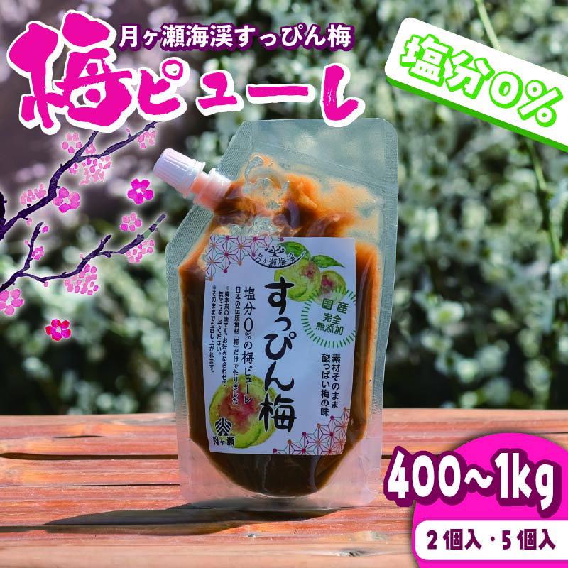 【ふるさと納税】 梅ピューレ 月ヶ瀬梅渓 すっぴん梅 200g×2～5個入り 塩分0パーセント 梅 うめ うめぼし 梅干し 白加賀梅 国産 保存料 不使用 無添加 調味料 ピューレ 料理 香り 旨味 株式会社 小谷商店 月ヶ瀬 奈良県 奈良市 なら kyt03