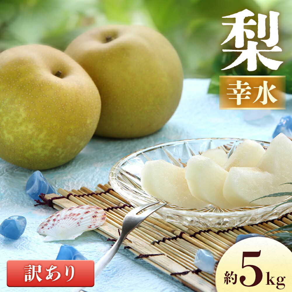 【ふるさと納税】＜先行予約＞梨 幸水＜訳あり品 ＞ 約5kg[8〜16玉]　※2025年8月中旬〜9月上旬発送※