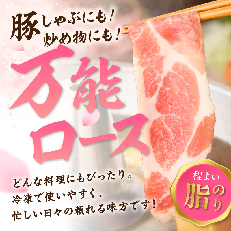 佐賀県産 豚肉 肥前さくらポーク ローススライス 約1.3kg 180-L043