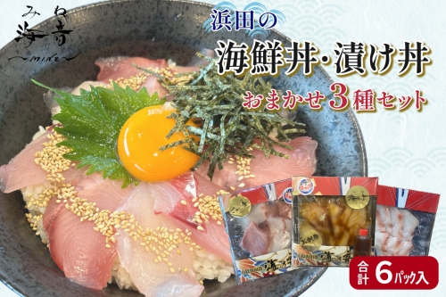 浜田の海鮮丼・漬け丼おまかせ3種セット 6パック 【195_2019】