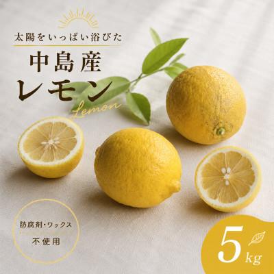 ふるさと納税 松山市 【10月下旬から順次発送】 レモン 5kg (35〜45玉)