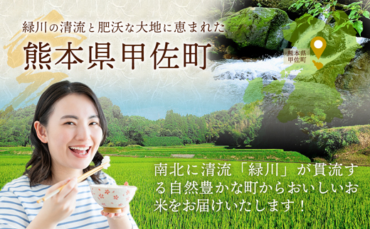 【先行受付】新米 令和7年産『甲佐の輝き』精米16kg（5kg×2袋、6kg×1袋）【2025年10月より配送月指定可能】【熊本県産・精米・16kg】 - 国産 白米 精米 お米 ブレンド米 複数原料