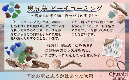 ビーチコーミング体験４名様