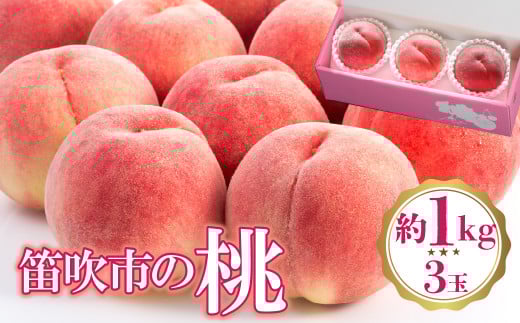 ＜25年発送先行予約＞桃 3玉入り(約1㎏) 222-009　| もも 桃 山梨 フルーツ もも 桃 山梨 フルーツ もも 桃 山梨 フルーツ もも 桃 山梨 フルーツ もも 桃 山梨 フルーツ もも 桃 山梨 フルーツ もも 桃 山梨 フルーツ もも 桃 山梨 フルーツ もも 桃 山梨 フルーツ もも 桃 山梨 フルーツ もも 桃 山梨 フルーツ もも 桃 山梨 フルーツ もも 桃 山梨