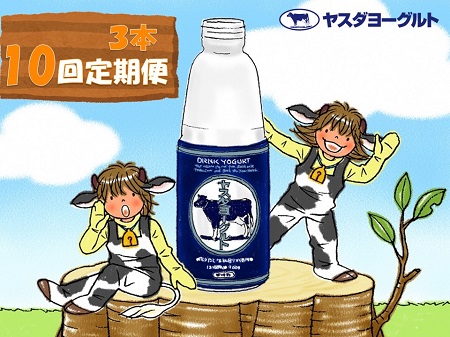【10ヶ月定期便 】ヤスダヨーグルト 大ボトル  800g×3本×10回  1B64051