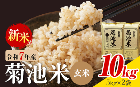 令和7年産 熊本県産 菊池米 玄米 10kg 1袋5kg 株式会社くまもとごはん 《30日以内に出荷予定(土日祝除く)》米 お米 令和7年産 九州産 熊本県産  送料無料