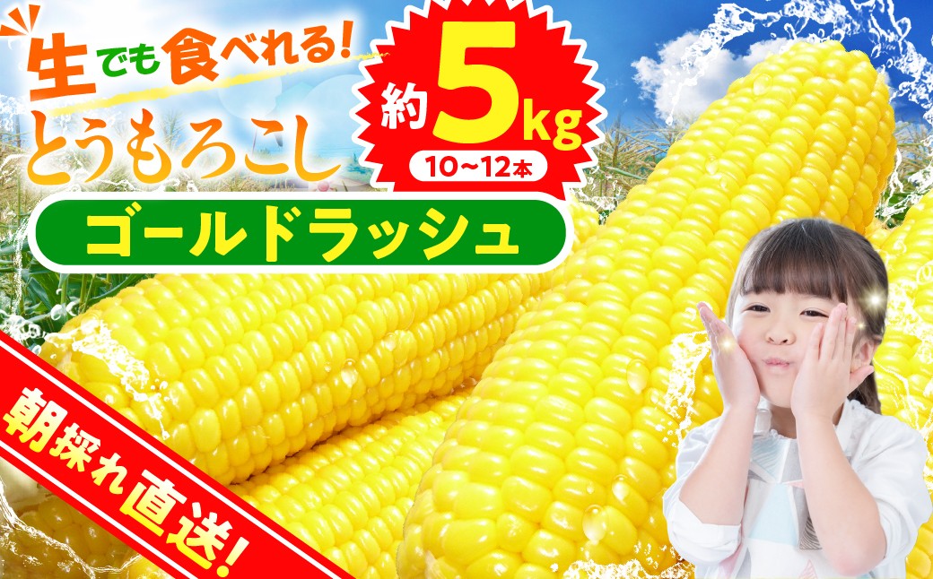 
                  ★2027年先行予約★富士北麓忍野村の気候、水、自然で作られた朝採りトウモロコシ（ゴールドラッシュ）（約5kg）
                