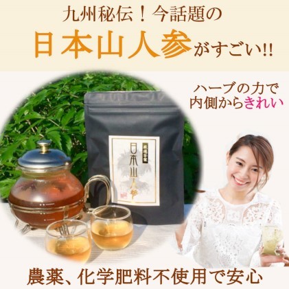 ★希少★日本山人参茶30包入り×2袋 飲料類 お茶 野菜/人参 _イメージ3