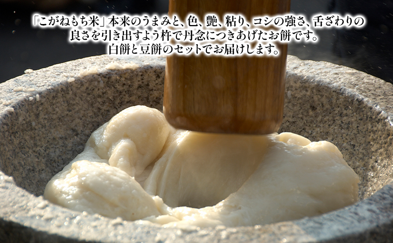 越後こがね 白餅・まめ餅セット お餅 おもち 