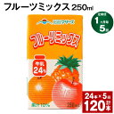 【ふるさと納税】【定期便】【1ヶ月毎5回】フルーツミックス 250ml 24本 計120本（24本×5回）ミックスジュース らくのうマザーズ フルーツ牛乳 フルーツ ジュース りんご パイナップル オレンジ みかん 紙パック 熊本県産 国産 九州 熊本県 菊池市 送料無料