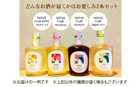 ふるさと納税限定 MIYOI Craft 蔵におまかせ２種飲み比べセット お酒 日本酒 果実酒 飲み比べ ギフト 大阪府高槻市/ADACHI NOUJO Craft Sake Brewery[AOCU