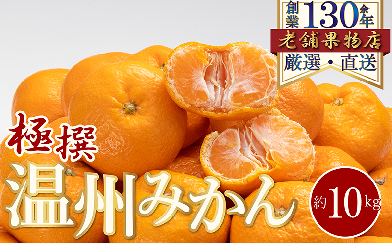 
            [№5911-0355]極撰！温州みかん　約10kg
          