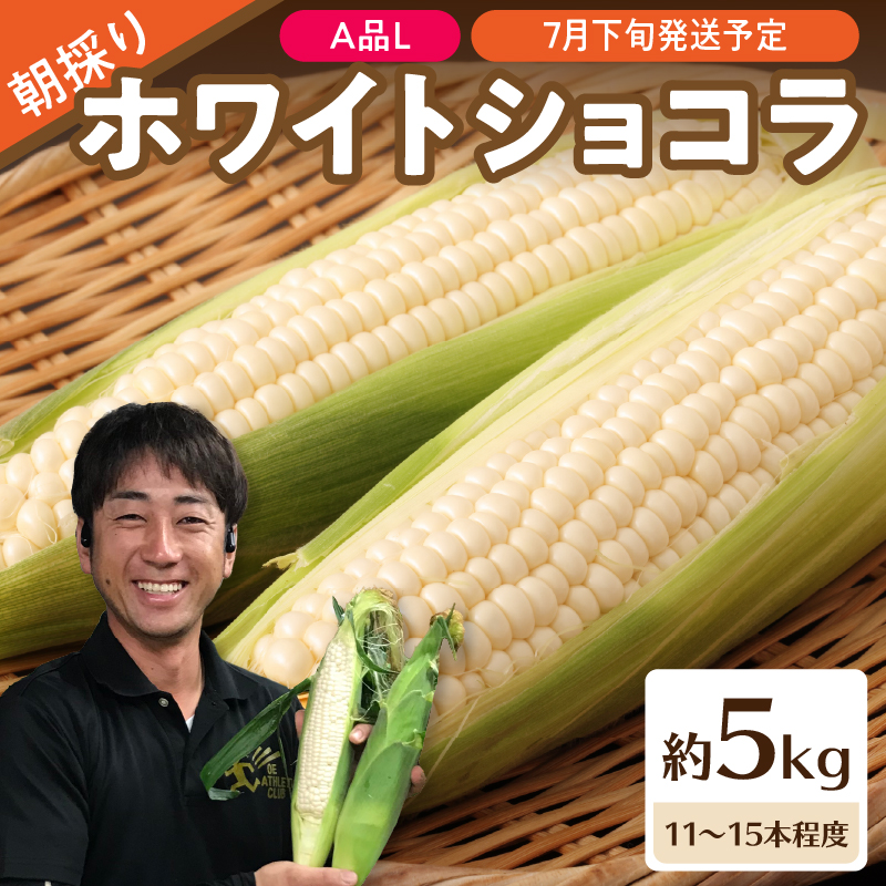 027-004 《先行受付》朝採りホワイトショコラ約5kg・A品L・11～15本程度 【2026年7月下旬頃～発送予定】【山形とうもろこし・大江町産・明石農園】