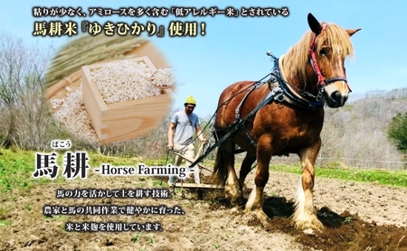 オリジナル クラフトビール Horse Farming Saison 330ml×4本 2026年1月中旬頃から配送 北海道 ビール 酒 アルコール 馬耕 ゆきひかり 米 米麹 オーガニック セゾン 