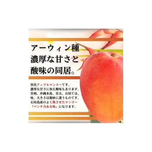 ＜予約受付＞完熟アップルマンゴー 3~6個 約2kg 