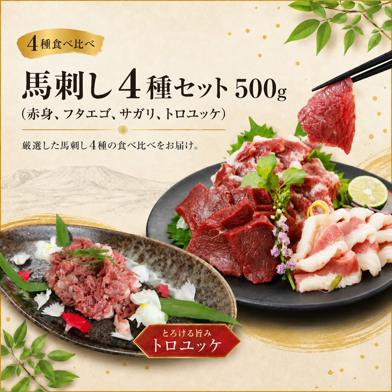 海外産 馬刺し 4種セット 500g（赤身、フタエゴ、サガリ、トロユッケ） 馬刺しの長野屋 | 馬刺し 赤身 タレ付き 馬刺し 馬刺 長野 信州 馬肉 お肉 刺身 冷凍 真空パック 小分け 送料 無料 伊那 信州【011-b9】