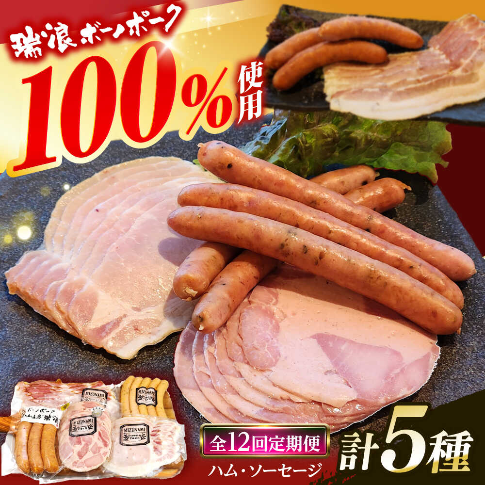 【ふるさと納税】【12回定期便】 ハム・ソーセージ 瑞浪ボーノポーク お試し 5種セット 600g (冷凍) 瑞浪市 / きなぁた瑞浪 詰め合わせ ギフト[AZCI100]