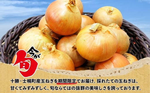 【期間限定】今が旬の採れたてのたまねぎをぜひお召し上がりください！
