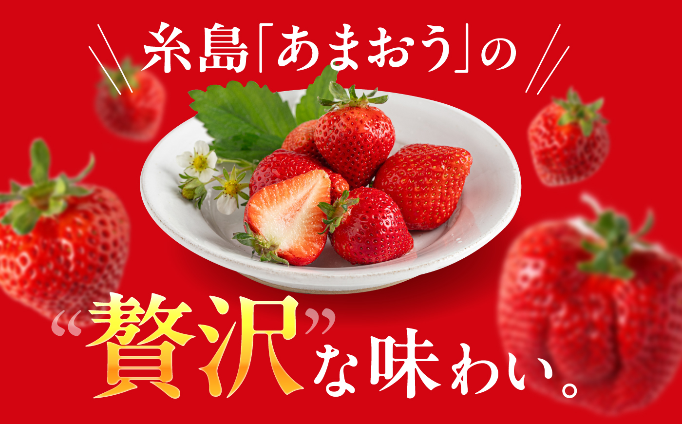 【月1回・全3回定期便】糸島 あまおう 270g×2パック【2027年1月～3月にて順次発送】 (A品B品含むL～5L) 糸島市 / 磯本農園 / TANNAL [ATB009] いちご 苺 イチゴ 